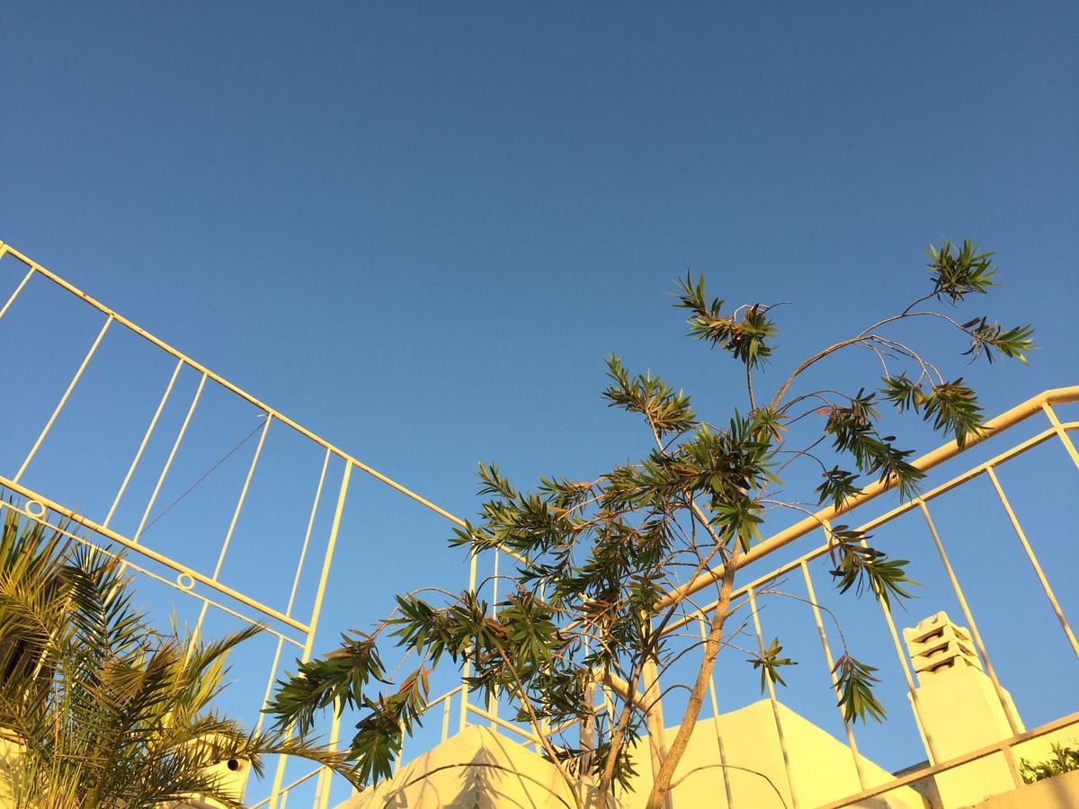 Riad Tizwa เฟส ภายนอก รูปภาพ